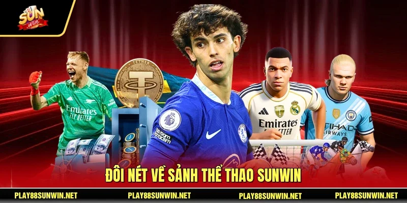 Đôi nét về sảnh thể thao SUNWIN